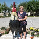 ���� �������, �������-����������, 53 ���� - ��������� 6 ������ 2018 � ������ ���� ����������