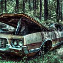 ���� �����, ��������, 46 ��� - ��������� 9 ������� 2018 � ������ ������ ��������