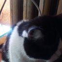 ���� ������, �����-���������, 53 ���� - ��������� 31 ����� 2018 � ������ ���� ����������