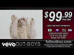 Fall Out Boy - Wilson (Expensive Mistakes)