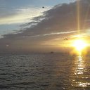 ���� ����, ����, 55 ��� - ��������� 23 ������ 2018 � ������ ���� ����������