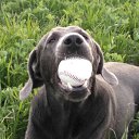 ���� �������� ������, ������, 56 ��� - ��������� 5 ���� 2018 � ������ �����