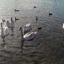 ���� Oleg, ������� ����, 78 ��� - ��������� 20 ������ 2018 � ������ ������ ��� ����!�