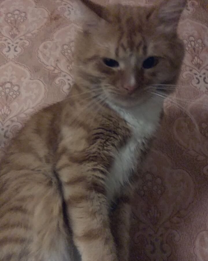 # # # # # ))