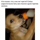 ���� �����, ������ �������� - ��������� 15 ������ 2018 � ������ ������ ��������