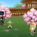     , , 26  -  11  2018   Tropikania