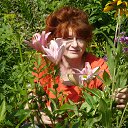 ���� �������, ������ - ��������� 6 ������ 2018 � ������ ���� ����������