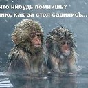 ���� ������, �����-���������, 54 ���� - ��������� 2 ��� 2018 � ������ ���� ����������