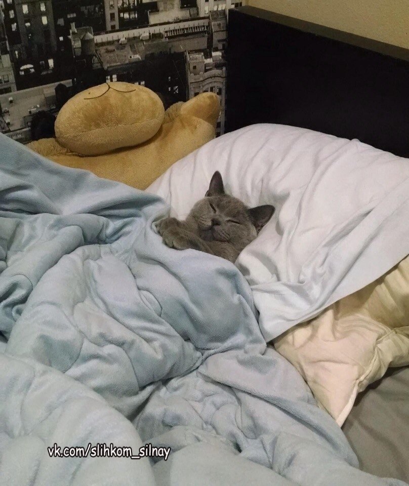     -  ,      ,     .