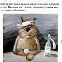 ���� �������, ����������, 46 ��� - ��������� 8 ���� 2018 � ������ ������ ��������