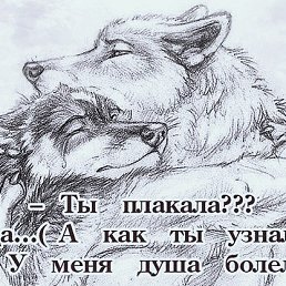 ���� ������, ������, 60 ��� - ��������� 12 ������ 2018