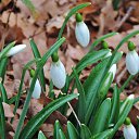  , , 60  -  28  2018     , 2018,  