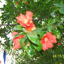 ��� ����� ������ �� ������� �������� � ������