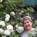 ���� ��������, ������, 61 ��� - ��������� 5 ���� 2018 � ������ ���� ����������