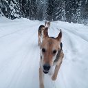 ���� ���������, �����, 51 ��� - ��������� 23 ����� 2018 � ������ ���� ����������