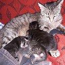 ���� ������, ����� - ��������� 1 ��� 2018 � ������ ���� ����������