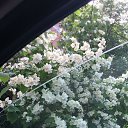 ���� Sardor, ���������, 41 ��� - ��������� 2 ������� 2018