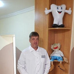 ���� ����, ���������, 56 ��� - ��������� 11 ������� 2017