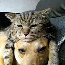 ���� Os, ������� - ��������� 30 ������ 2017 � ������ �������