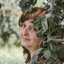 ���� �������, ������ - ��������� 10 ������� 2017 � ������ ���� ����������