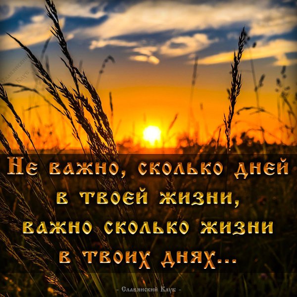   - 25  2018  06:49