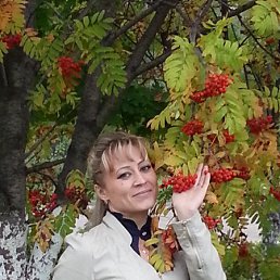 ��������, ���������, 24 ����