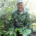 ���� �������, ������-�������, 53 ���� - ��������� 3 ������ 2018 � ������ ���� ����������