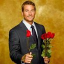 ���� �����, �������, 36 ��� - ��������� 15 ������ 2018 � ������ ���� ����������