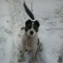 ���� ����, ����������� - ��������� 27 ������� 2017 � ������ ���� ��������