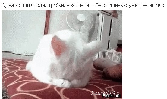 ���� �������� - 16 ����� 2018 � 12:50