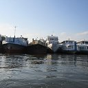 ���� ����, ���, 49 ��� - ��������� 15 ������ 2018 � ������ ������� ��� � ��������