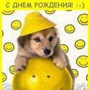 ���� ����, ������ - ��������� 27 ������� 2017 � ������ ��������Ȼ