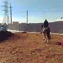 ���� ������, ������, 42 ���� - ��������� 12 ����� 2018 � ������ ������ ��������