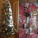 ���� �����, ���, 73 ���� - ��������� 13 ������� 2017 � ������ ������ ��������