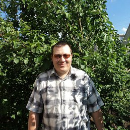 �����, ������, 50 ���