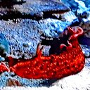  ,  -  13  2017        »