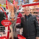 ���� ���������, �������, 71 ��� - ��������� 7 ���� 2018