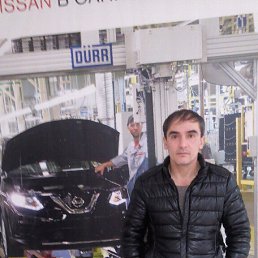 �����, �����-���������, 52 ����