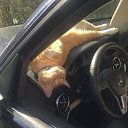 ���� ������, ���������, 64 ���� - ��������� 2 ������� 2017 � ������ ���� ����������