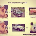 ���� ������, �����-���������, 54 ���� - ��������� 2 ��� 2018 � ������ ���� ����������