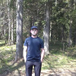 ������ ��������, ���������, 41 ���