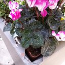 ���� ������, ��������� - ��������� 18 ������� 2018 � ������ ���� ����������