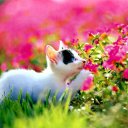 ���� &dagger;Seniorita&dagger;, ����������� - ��������� 2 ���� 2018 � ������ ������ ��������