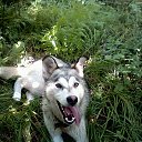 ���� Aleks, ���������, 65 ��� - ��������� 12 ��� 2018 � ������ ���� ����������