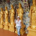 ���� �������, ������ ��������, 66 ��� - ��������� 24 ������ 2018 � ������ ���� ����������