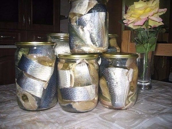 ���� ����� ��� ����� �� �������� ������� �������� ��� ������� � ��������, �������� ������� ������� ... - 5