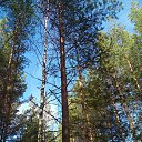 ���� �������, ������������ - ��������� 6 ��� 2018 � ������ ������� 6 ��� 2018�