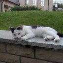 ���� �����, ������, 53 ���� - ��������� 21 ����� 2018