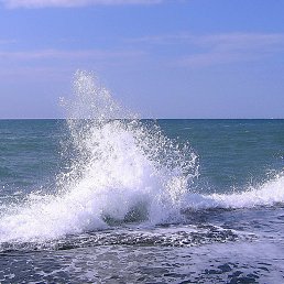 ���� ��������, ������ - ��������� 15 ������� 2017