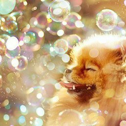 M, �����-���������, 38 ���